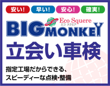 BIG MONKEY 立会い車検